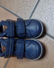 Chaussures bleues et brunes P26
