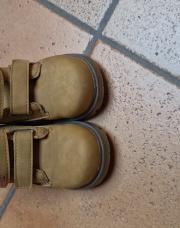 Chaussures  brunes Roi Lion P23