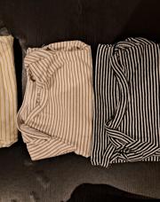 Lot 3 bodies 