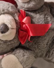 Peluche ours