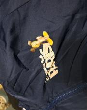 Veste disneyland 10ans 