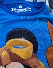 Pyjama 2pcs disneyland paris 8a