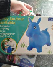 Poney sauteur 