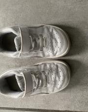 Puma blanche P22