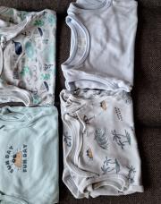 Lot body 80