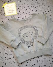 Pull lion Rylee cru 12m