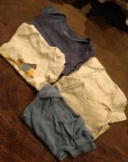 Lot 5body 