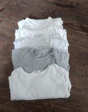 5body 
