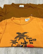Lot 2 t-shirts manches courtes TAO 18 mois 