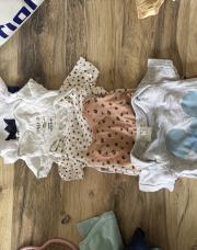 Lot de 6 bodys 74/80 courtes manches 