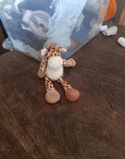 Petite giraffe