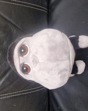 Petit singe