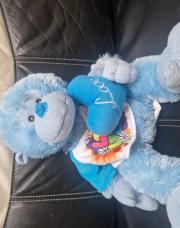Ours bleu