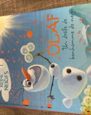 Livre reine des neiges 