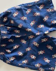 Short koala palme