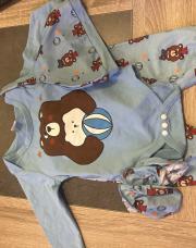 Ensemble 