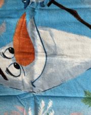 Poncho frozen