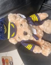 Ours capitaine