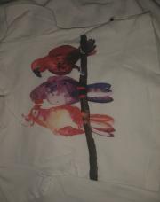 T-shirt MOLO taille 3 mois 