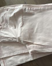 La redoute M rose 