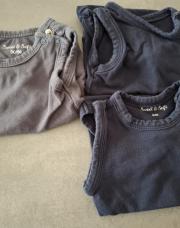 Lot 3 bodys bleus / gris 50/56cm
