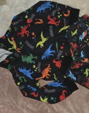 Ensemble 2 pièce dino  6 ans 