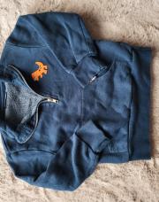 Pull dino 4 ans 