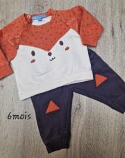 Ensemble renard
