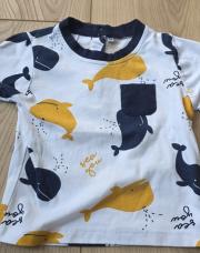 Tshirt 12m baleine