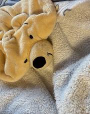 Plaid Winnie l’ourson