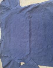 TS bleu