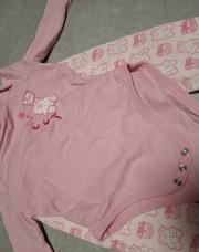 Ensemble Guess 12m