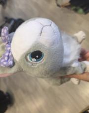 Lapin interactive 