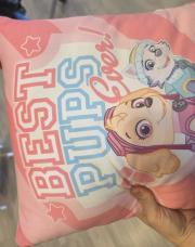 Coussin paw patrol
