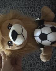 Peluche ours football (Delhaize)