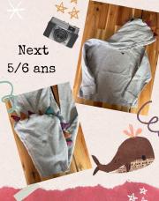 Sweat Next 5/6 ans capuche dino