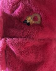 Manteau rose 