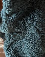 Manteau bleu