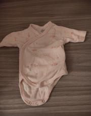 Body rose  ours 50  cm 