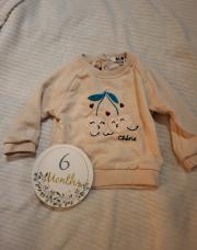Pull 6m