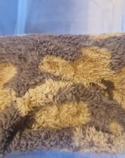 Pyjama pilou ourson - 4 ans 
