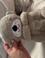 Peluche interactive loutre Fisher price 