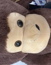 Singe xl 
