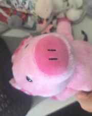 Peluche conchon
