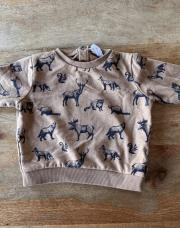 Pull Élan Ratons JBC 12 mois 