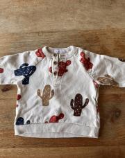Pull Cactus Boutchou 12 mois