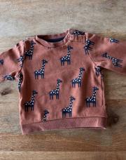 Pull Girafes 12 mois 