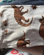 T shirt Dino 110/116