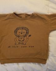 Pull 18m Vertbaudet lion