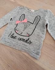 Pull lapin110